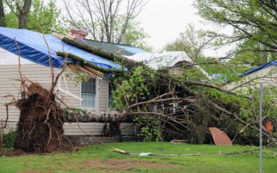 Signs Your Thornton, CO Roof May Have Storm Damage