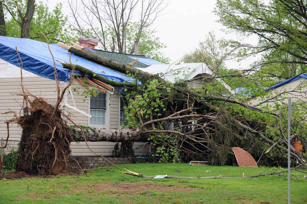 Trusted Storm Damage Repair in Thornton CO